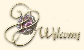 Welcome banner